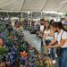 Uruapan, listo para presumir riqueza artesanal con tianguis de Domingo de Ramos