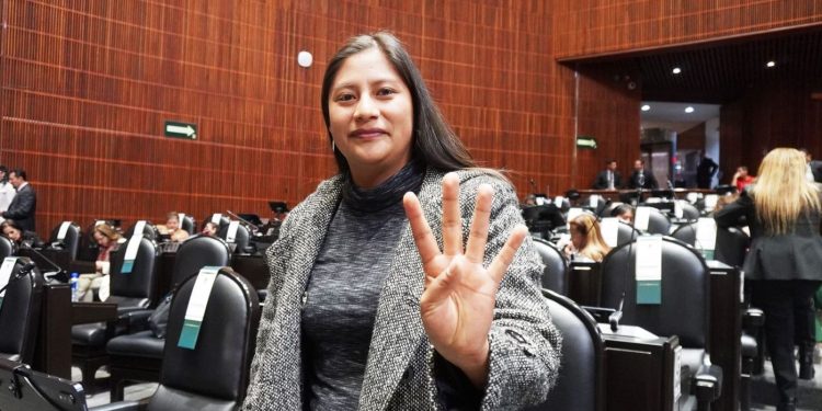 Aprueban comisiones en San Lázaro dos iniciativas de Celeste Ascencio