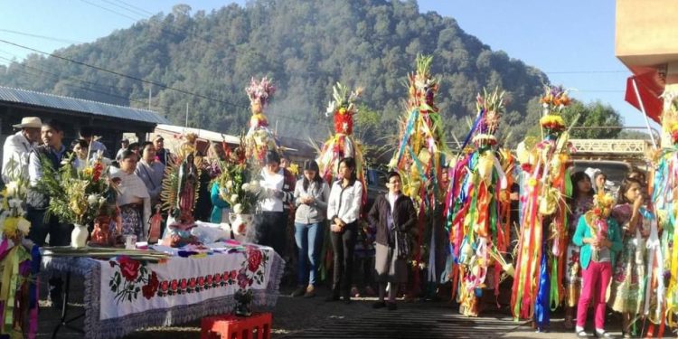 Esta Semana Santa conoce la tradición de la bendición de palmas