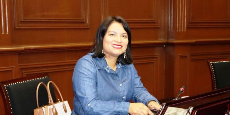 Celebra Eréndira Isauro resolución del TEEM para garantizar derechos político -electorales a jóvenes