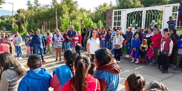 Autonomía de gestión de las escuelas de nivel básico debe reforzarse: Gloria Tapia