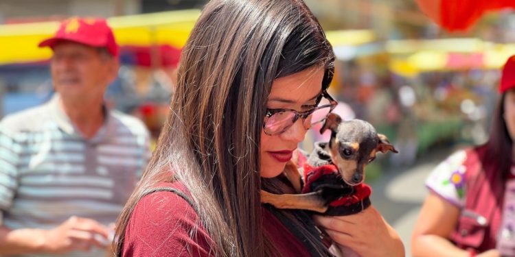 Prohibición constitucional al maltrato animal, compromiso de Carolina Rangel desde la cámara de diputados