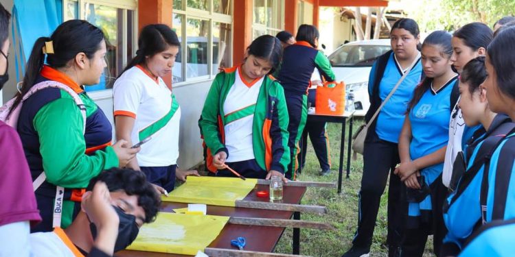 Estudia una de las 22 carreras técnicas en el Cecytem; hay inscripciones abiertas