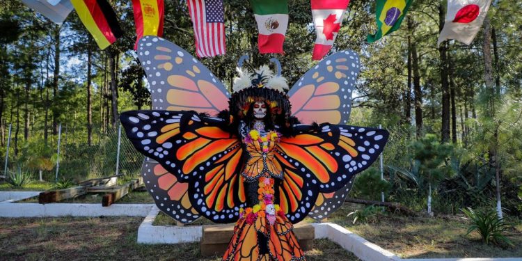 Visita la Mariposa Monarca antes de que emprenda el vuelo de regreso