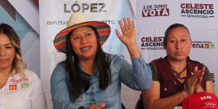 Llama Celeste al rescate urgente de los lagos en Michoacán