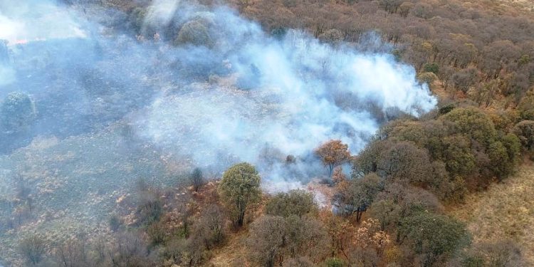 Por tierra y aire se combate incendio forestal en el cerro del Águila