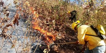 Atienden brigadas nuevo incendio forestal en cerro del Quinceo