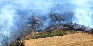 Brigadistas atienden 6 incendios forestales en Michoacán