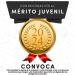Abierta, convocatoria al Mérito Juvenil 2024