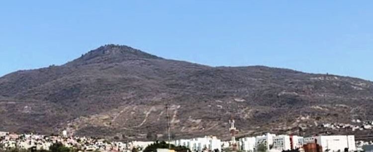 Controlado el incendio forestal en el Quinceo