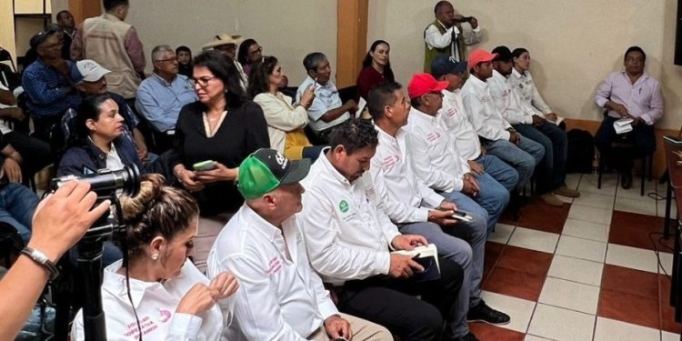 Conoce cómo integrar una cooperativa para lograr nuevas oportunidades de desarrollo