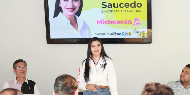 Vamos por una visión integral que potencie el desarrollo regional: Araceli Saucedo