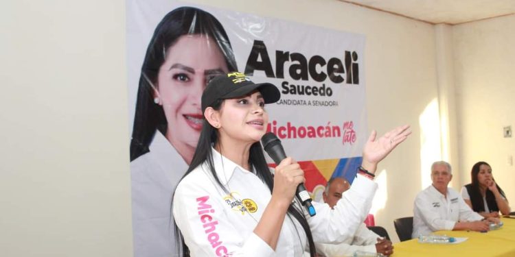 Vamos a fortalecer las reglas democráticas para la toma de decisiones y el ejercicio del poder: Araceli Saucedo