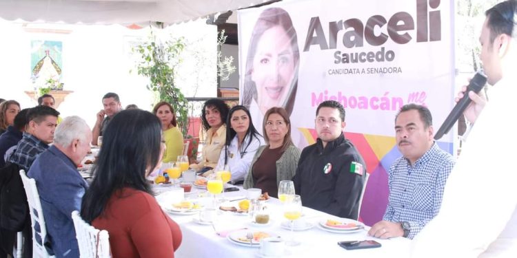 Urgente garantizar seguridad para la producción en Michoacán: Araceli Saucedo
