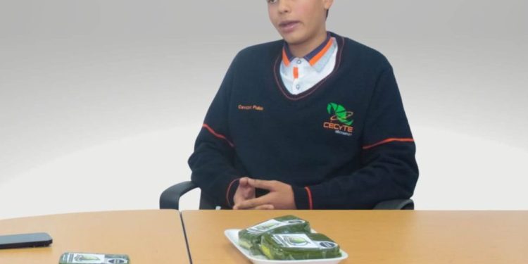 Un bocado de dulzura; así es el ate de aguacate que creó un alumno del Cecytem