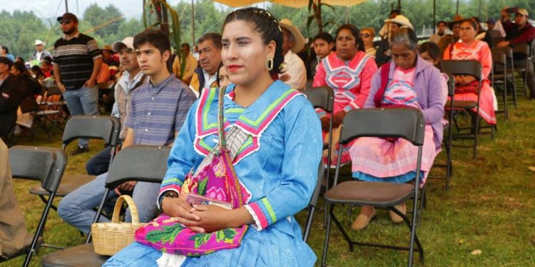 Gobierno de Michoacán solicitará audiencia pública a la SCJN en defensa del autogobierno indígena