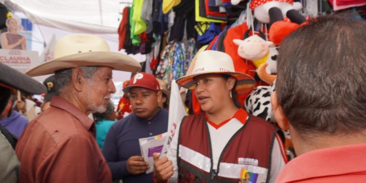 Celeste, una campaña a ras de tierra