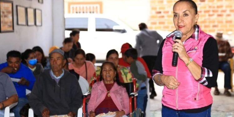 Prioritario aprovechar las ventajas competitivas de Michoacán y México: Julieta Gallardo