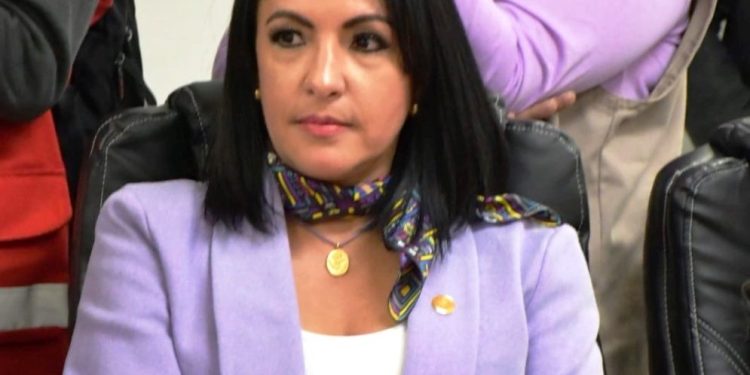 Hay que asumir con toda seriedad el problema de explotación infantil: Lupita Díaz