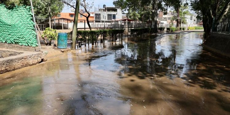 ¡Emergencia! Animales del Zoo de Morelia en peligro por agua contaminada vertida por el OOAPAS