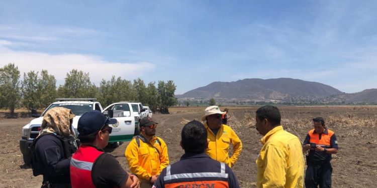 Brigadas atienden incendio de tule en Santa Ana Maya