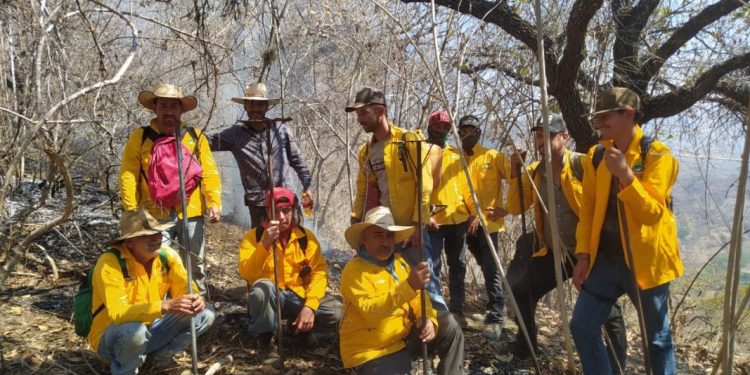Brigadistas apagan 7 incendios en Michoacán