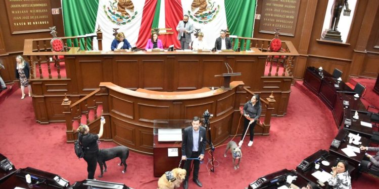 Congreso de Michoacán aprueba regulación para el uso de pirotecnia