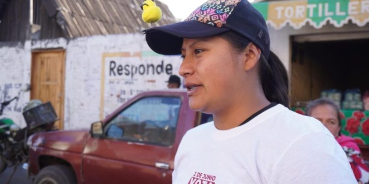 Realiza Celeste Ascencio brigadeo en Charapan