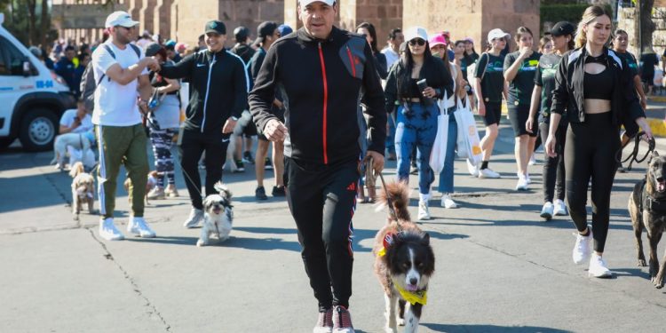 Protección y vida digna a los animales: Toño García