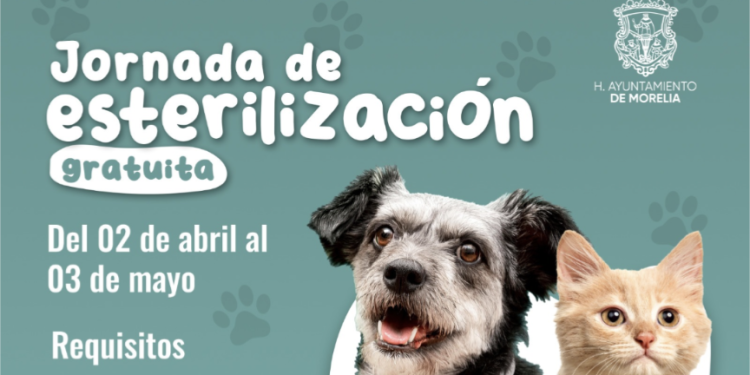 Gobierno de Morelia invita a Jornada de esterilización para mascotas