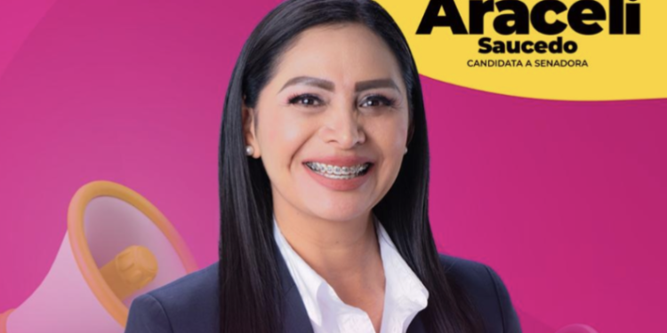 México no se puede pensar sin la participación de nuestros pueblos originarios: Araceli Saucedo