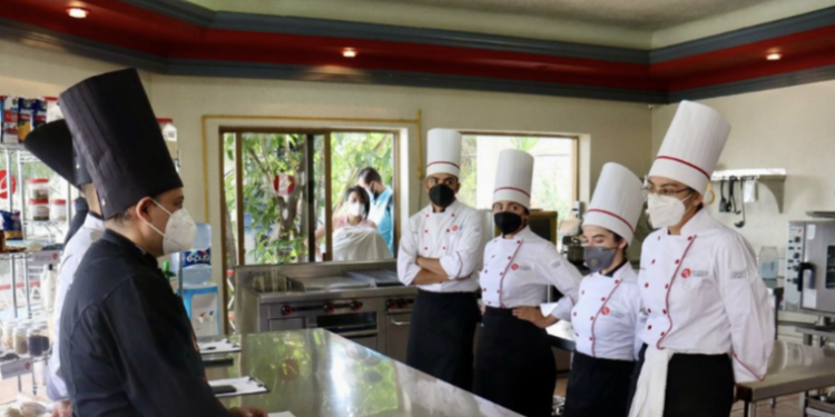 Estudiantes pueden acceder a becas para estudiar Gastronomía y áreas de la salud