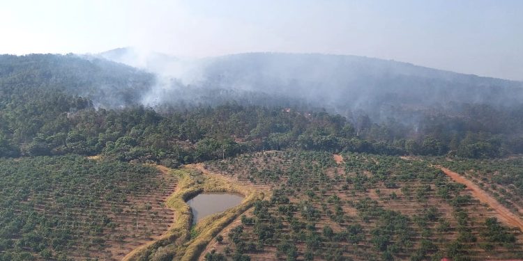 Controlado al 100 % el incendio forestal en Ario gracias al helicóptero con helibalde