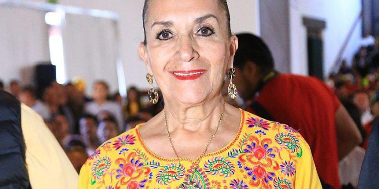 Necesario mayor supervisión para poner alto al uso electoral de programas sociales: Julieta Gallardo