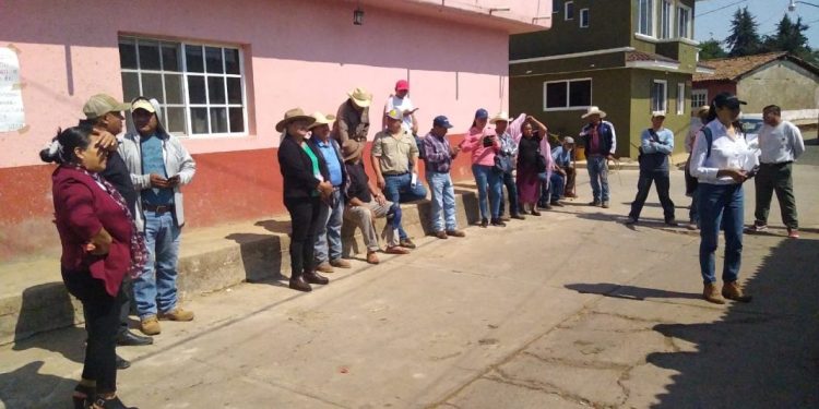 Con estas acciones comunidades se pueden sumar al rescate del lago de Pátzcuaro