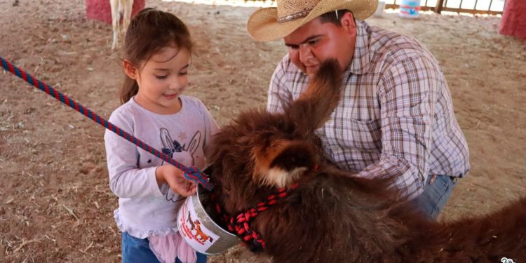 Día de aventuras para niñas y niños; hoy entran gratis hoy al Zoo de Morelia