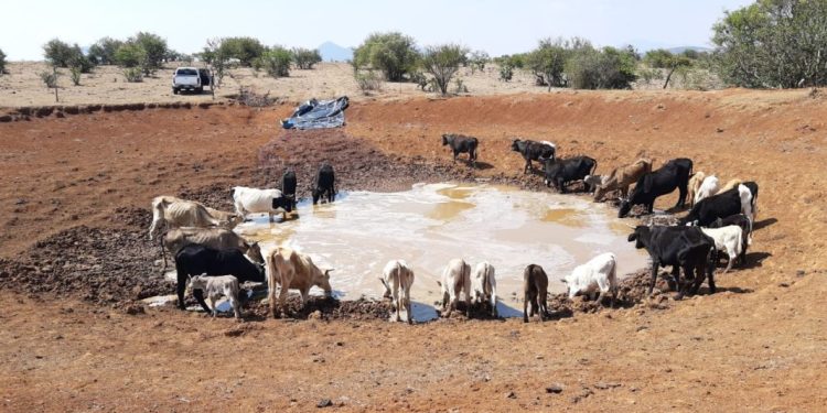 Por mi actuar yo respondo, quienes nos antecedieron en el cargo, que respondan por sus actos: Fanny Arreola.
