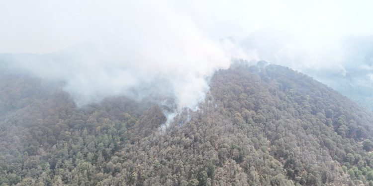 Continúan brigadistas combatiendo incendio forestal en Pátzcuaro