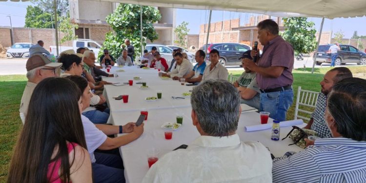 Productores de granos plantean problemática en producción y comercialización de maíz