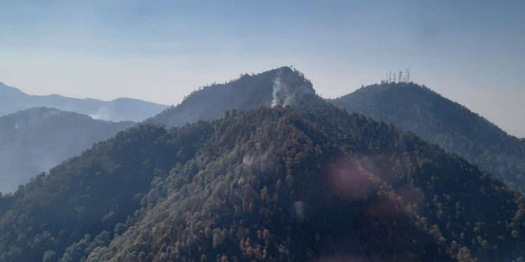 Controlado el incendio forestal en Cerro Burro de Pátzcuaro