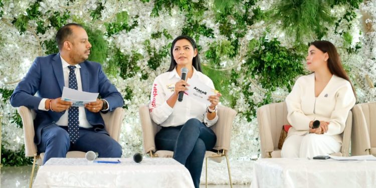 Desde el Senado vamos a dar certidumbre al desarrollo económico, a la seguridad y garantizar medicamentos: Araceli Saucedo