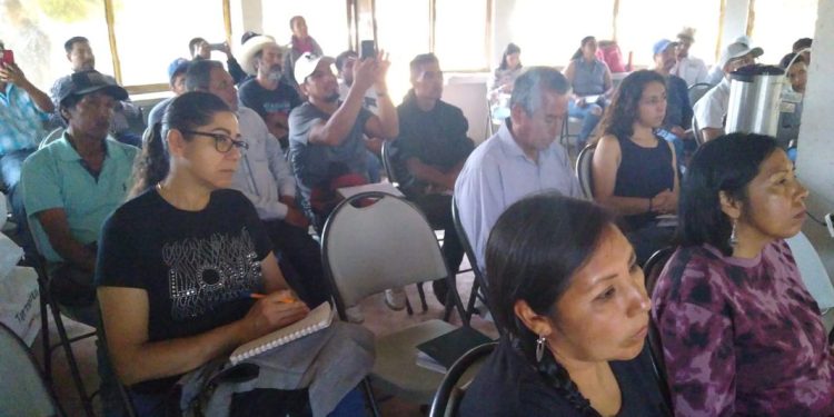 Avanza capacitación de producción de árboles para rescatar el lago de Pátzcuaro