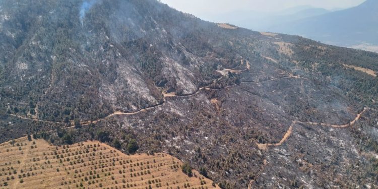 Sobrevuelan incendio forestal en Purépero y Zacapu; brigadas atienden por tierra