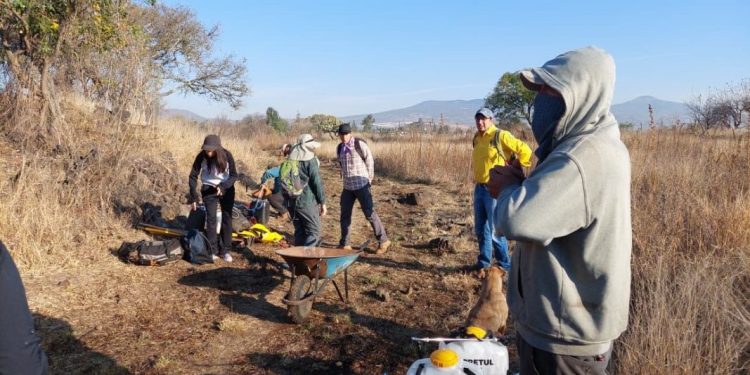 Secma lanza convocatoria para el Premio al Mérito Ambiental Michoacán 2024