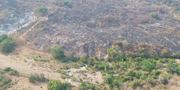 Se suma helicóptero para sofocar incendio forestal en Lázaro Cárdenas