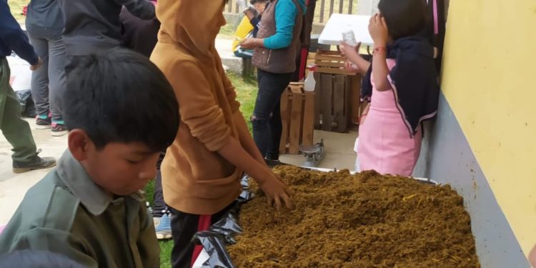 Impulsan en telesecundaria de Nahuatzen producción de hongo seta