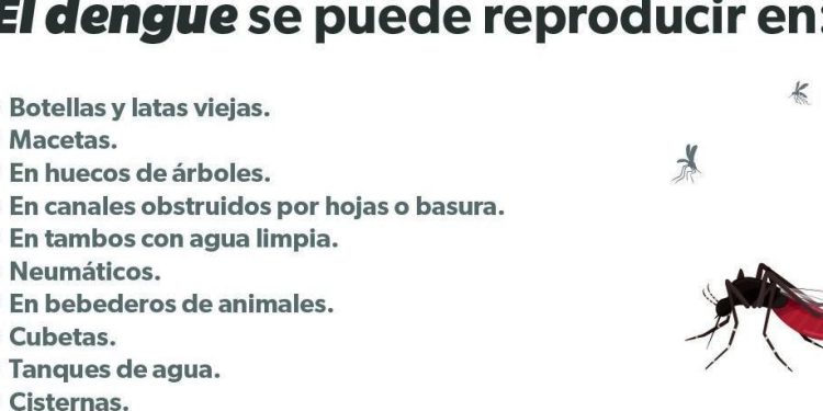 Esto es lo que debes saber sobre el dengue: síntomas, tratamiento y prevención