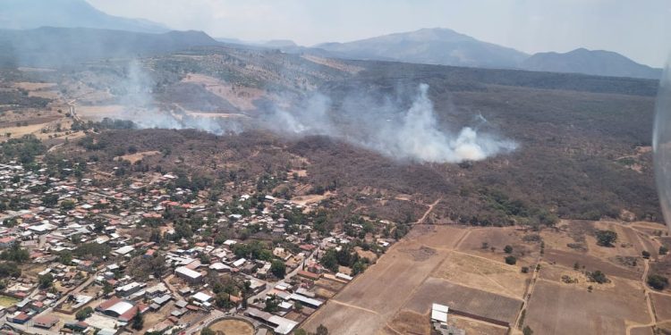 Helicóptero sobrevuela incendio forestal en Jiménez; continúa atención por tierra