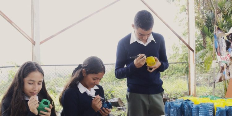 Agrosano, un programa de educación integral en Michoacán: SEE
