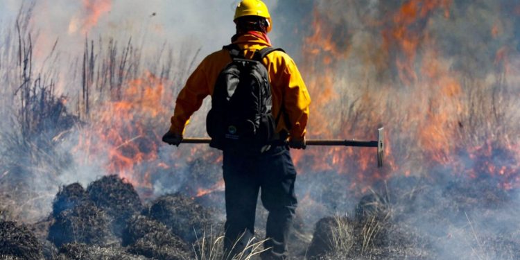 La incansable lucha contra el fuego de los brigadistas forestales